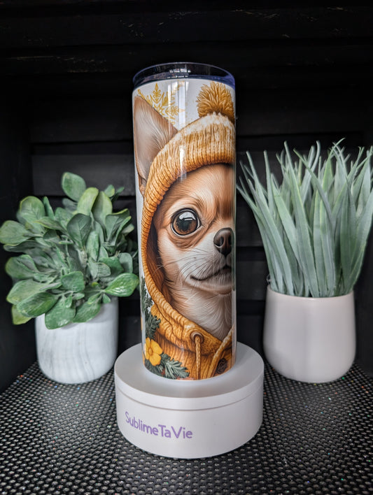 Tumbler chihuahua